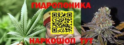 скорость Гагарин