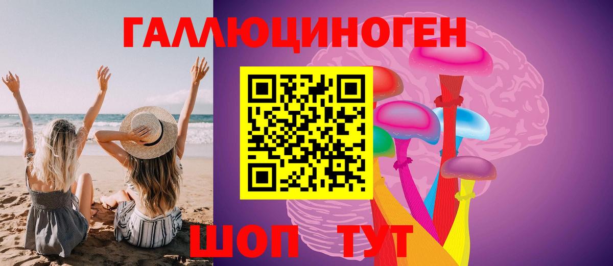 Псилоцибиновые грибы Psilocybine cubensis  Вход с VPN  Вязьма 